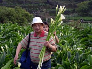 p1010250_5722664447_o